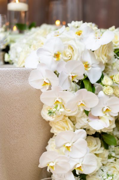 © 2019 Nicee Martin Photo & Design | www.niceemartin.com