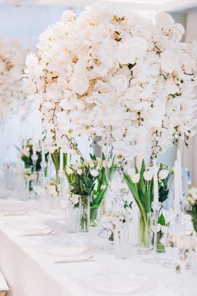 Events by TMA White Wedding